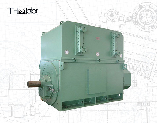 Промышленные высоковольтные моторы 6000v-11000v 2 полюса для оптимальной и производительной