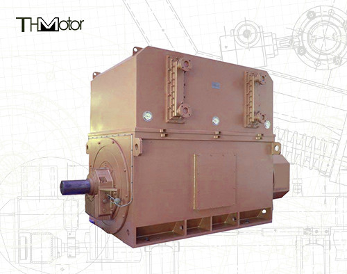 Промышленные высоковольтные моторы 6000v-11000v 2 полюса для оптимальной и производительной