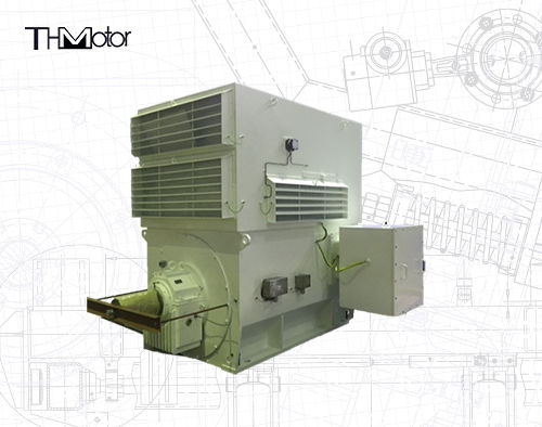 Трёхфазные индукционные моторы серии WPI WPII для промышленного использования