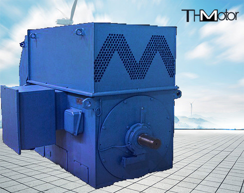 Электрические двигатели IP23 IP54 IP55 клетки белки 6KV 10KV высокоскоростные