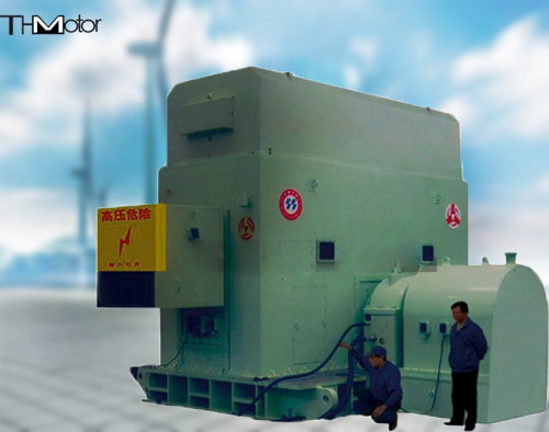 Мотор IP44 IP54 IP55 AC безщеточного Exciter 6300KW одновременный