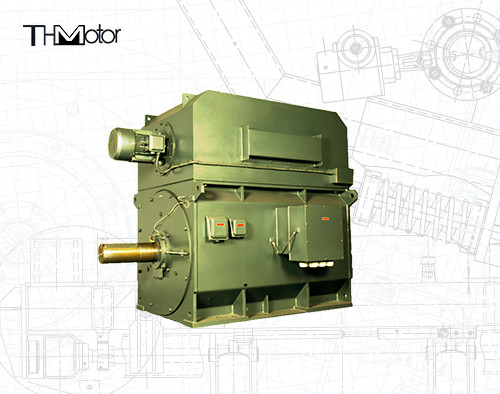 Инвертор клетки YPKK Трехфазный асинхронный двигатель 3000RPM IP55 6000KW