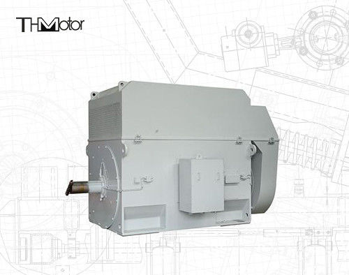 Мотор с 50 Гц свинцовой клеткой с 100 мм валом для непрерывной работы 3000 оборотов в минуту